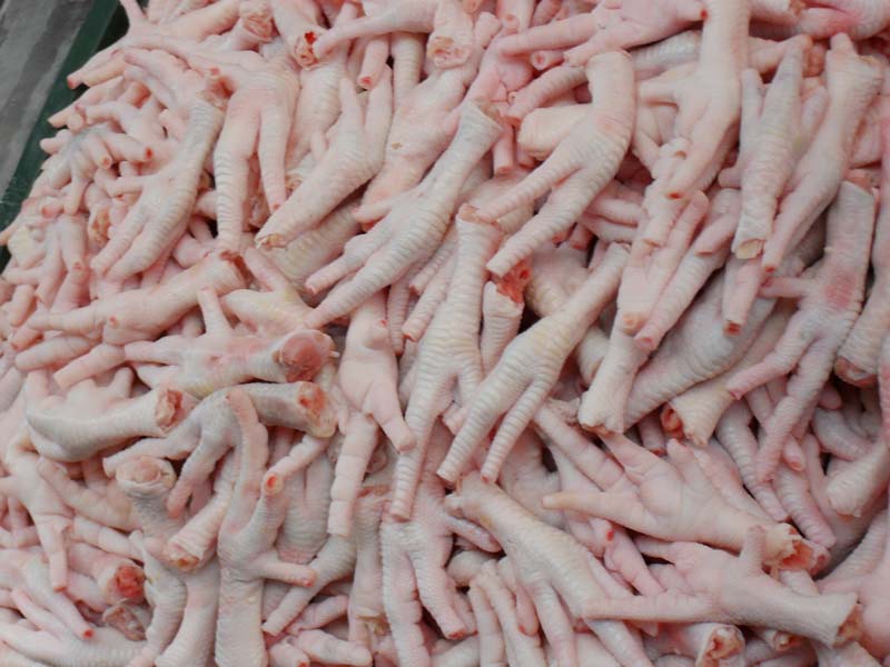 Frozen Chicken Feet - 15 kg per Carton | 66.6 Cartons per tone